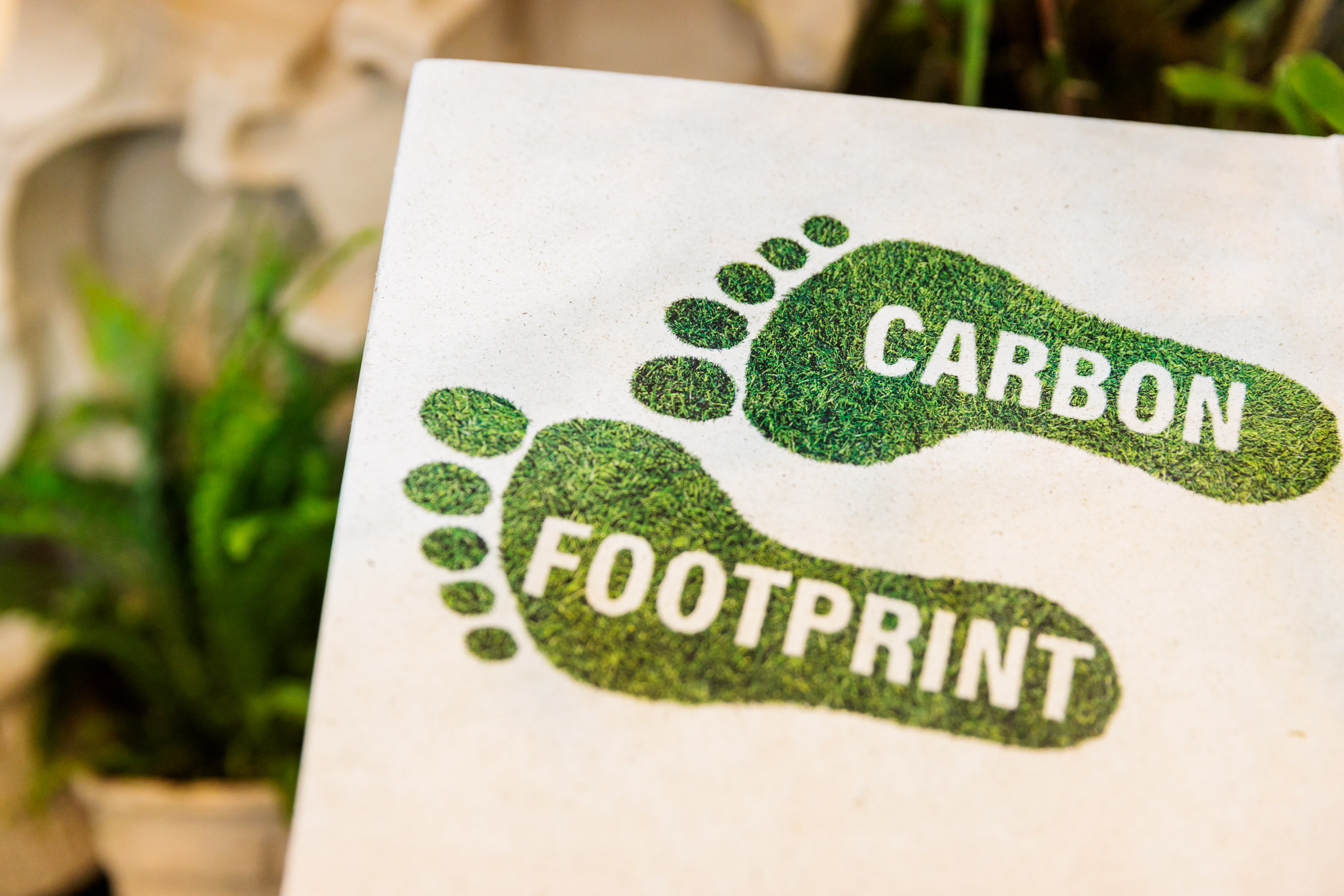 
			Carbon Footprint
		