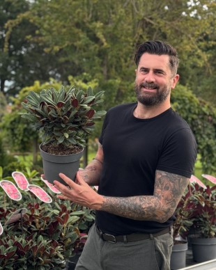 IPM ESSEN: 
		Michael Perry
	