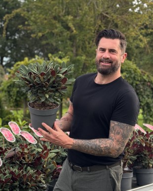 IPM ESSEN: 
		Michael Perry
	