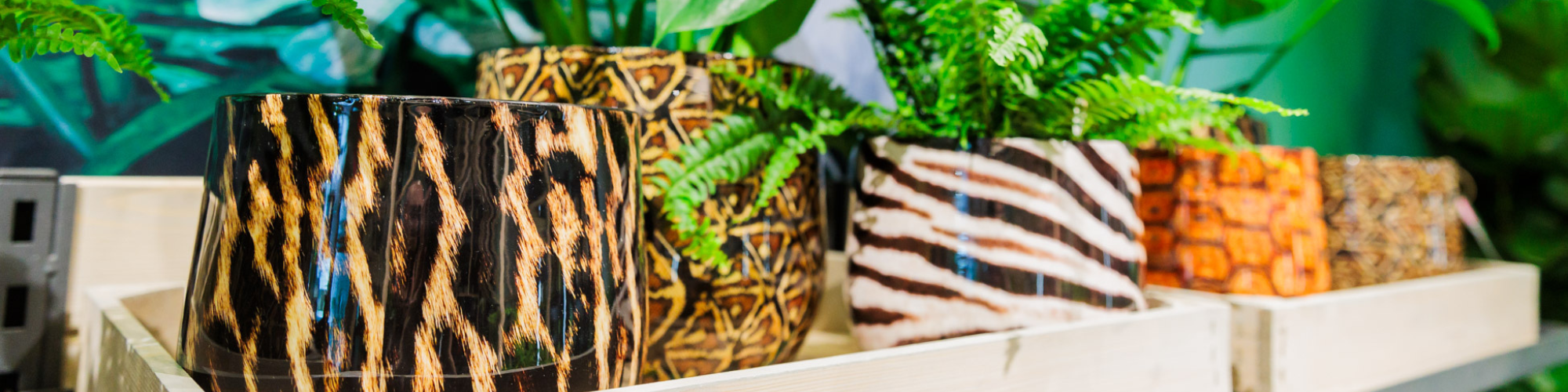 IPM ESSEN: 
		Animal Print
	