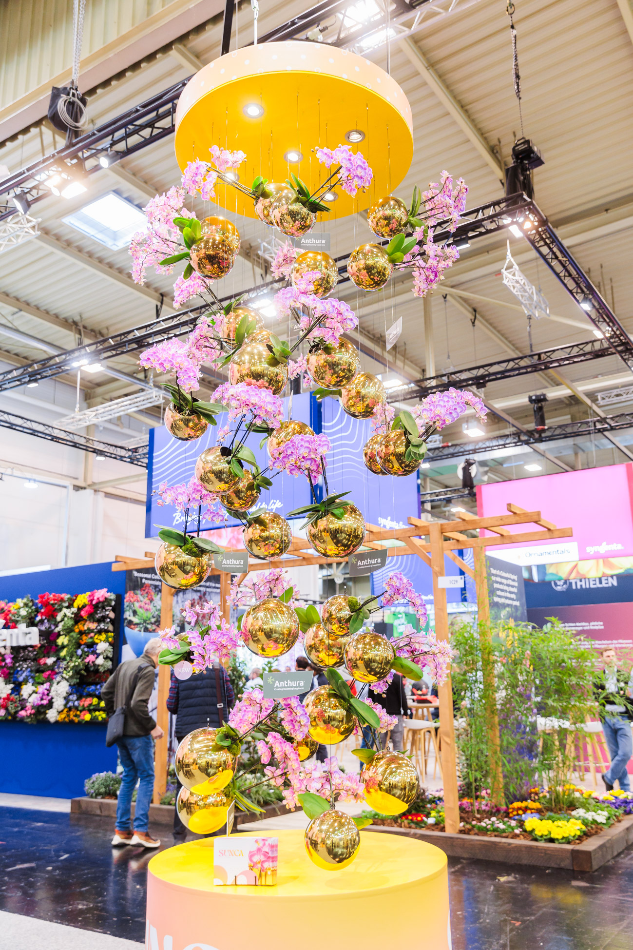 IPM ESSEN: Anthura