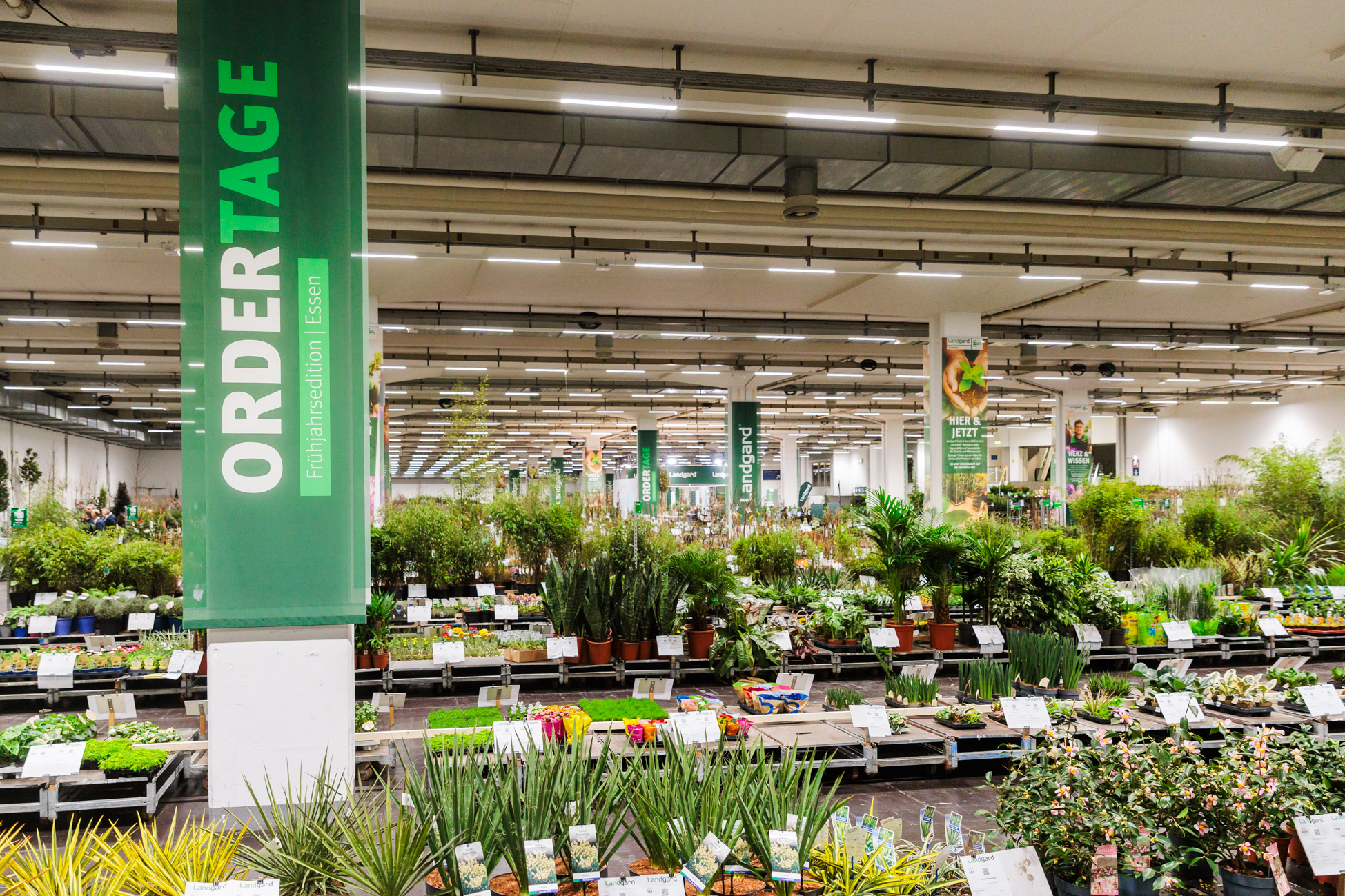 
		Ordertage Landgard
	