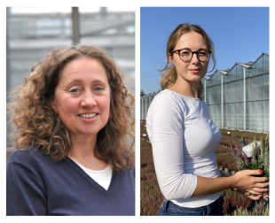 IPM ESSEN: 
		Stadtler und Marx
	