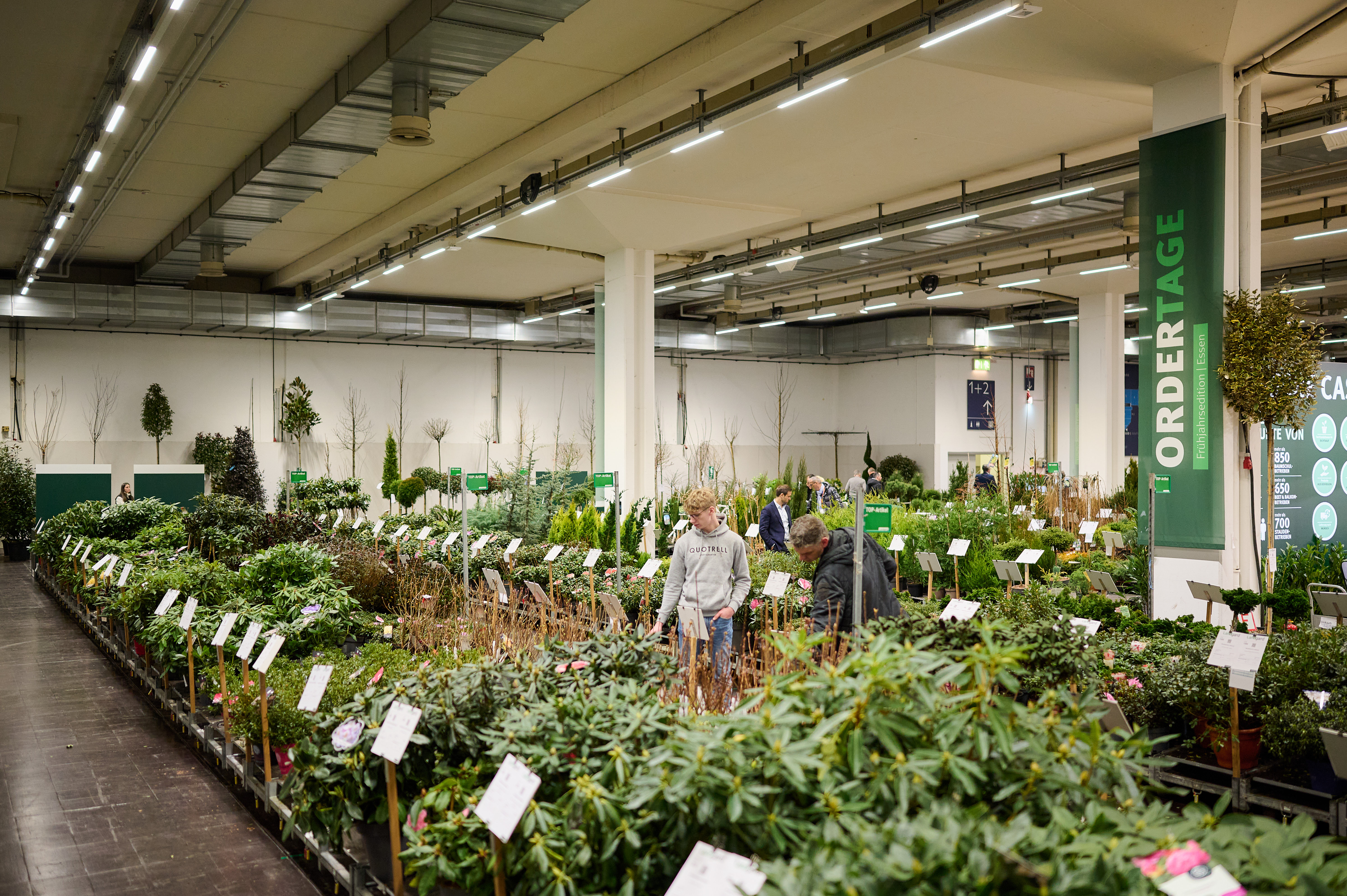 
			20250128_Landgard_IPM_5NK3255
		