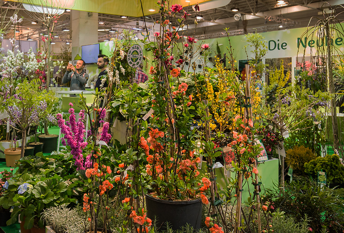 IPM ESSEN: 
		Exhibiton area plants
	